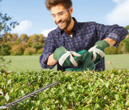 ParkSide vezetékes sövényvágó PHS 450 A1 - Image 2