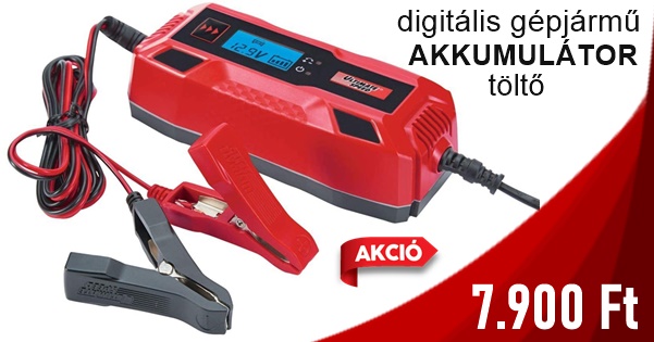 ULTIMATE SPEED Autó akkumulátor töltő ULGD 5.0 E4 - Image 2